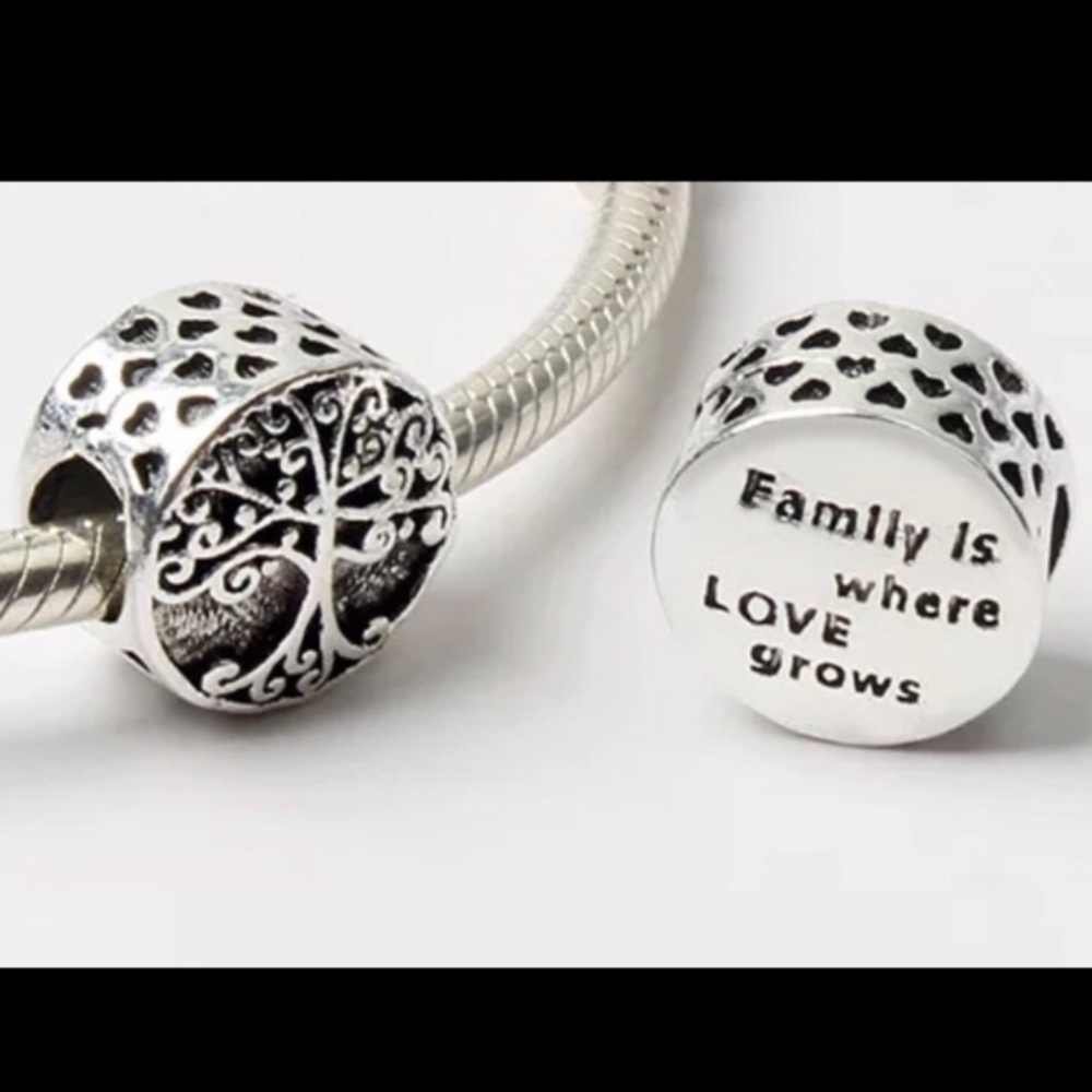 Family is Where Love Grows Charm - Not Pandora